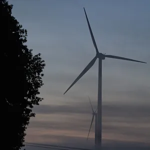 Windkrafträder stehen in leiten Nebel auf einem Feld. (Symbolbild)