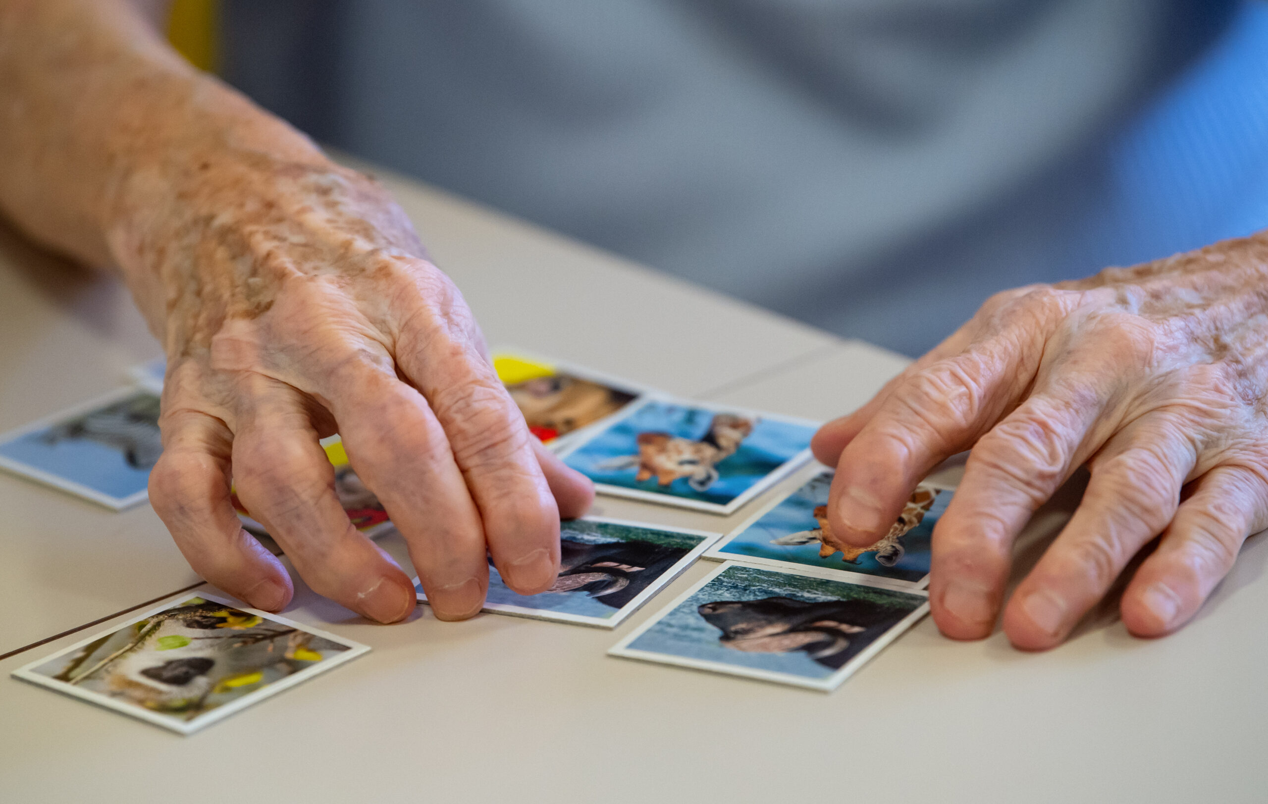 Eine ältere Frau spielt Memory. Forscher:innen haben nun Hinweise für die Behandlung von Alzheimer entdeckt. (Symbolbild)