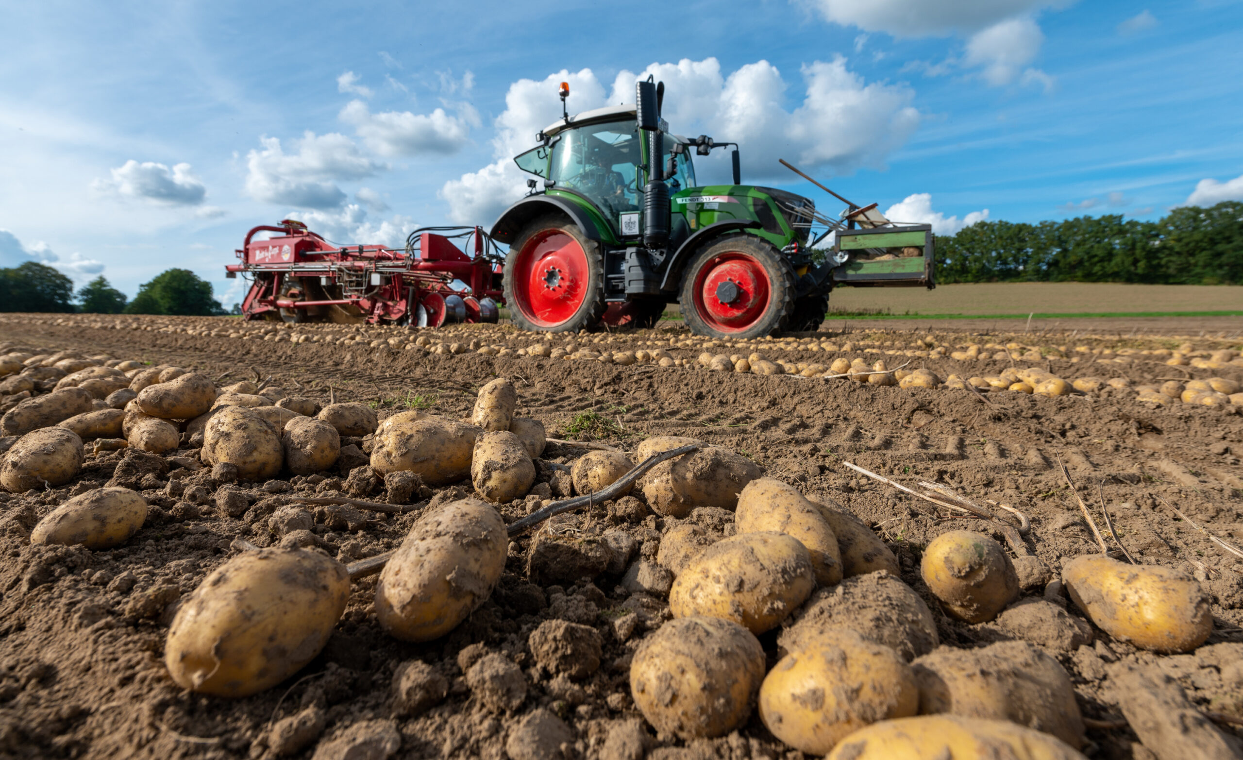Ein Traktor auf dem Feld bei der Kartoffelernte.