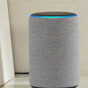 Ob „Alexa“ oder „Siri“: Gerade Kinder, die so heißen wie eine der Sprachassistentinnen, sind oft mit Mobbing konfrontiert. (Symbolbild)