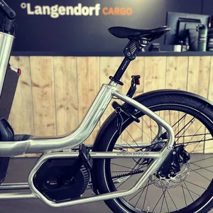 Lastenrad