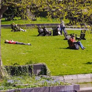 Ein Park in Hamburg.