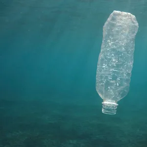 Eine weggeworfene Plastikflasche treibt im Wasser.