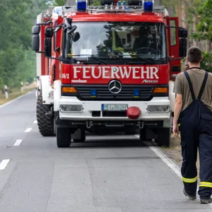 Die Waldbrandgefahr in Niedersachsen ist teilweise auf höchster Stufe! (Symbolbild)