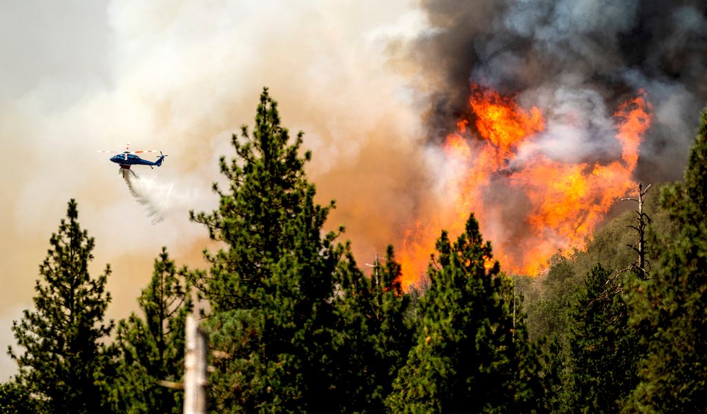 Ein Hubschrauber wirft bei der Bekämpfung des Oak Fire in Mariposa County Wasser ab.
