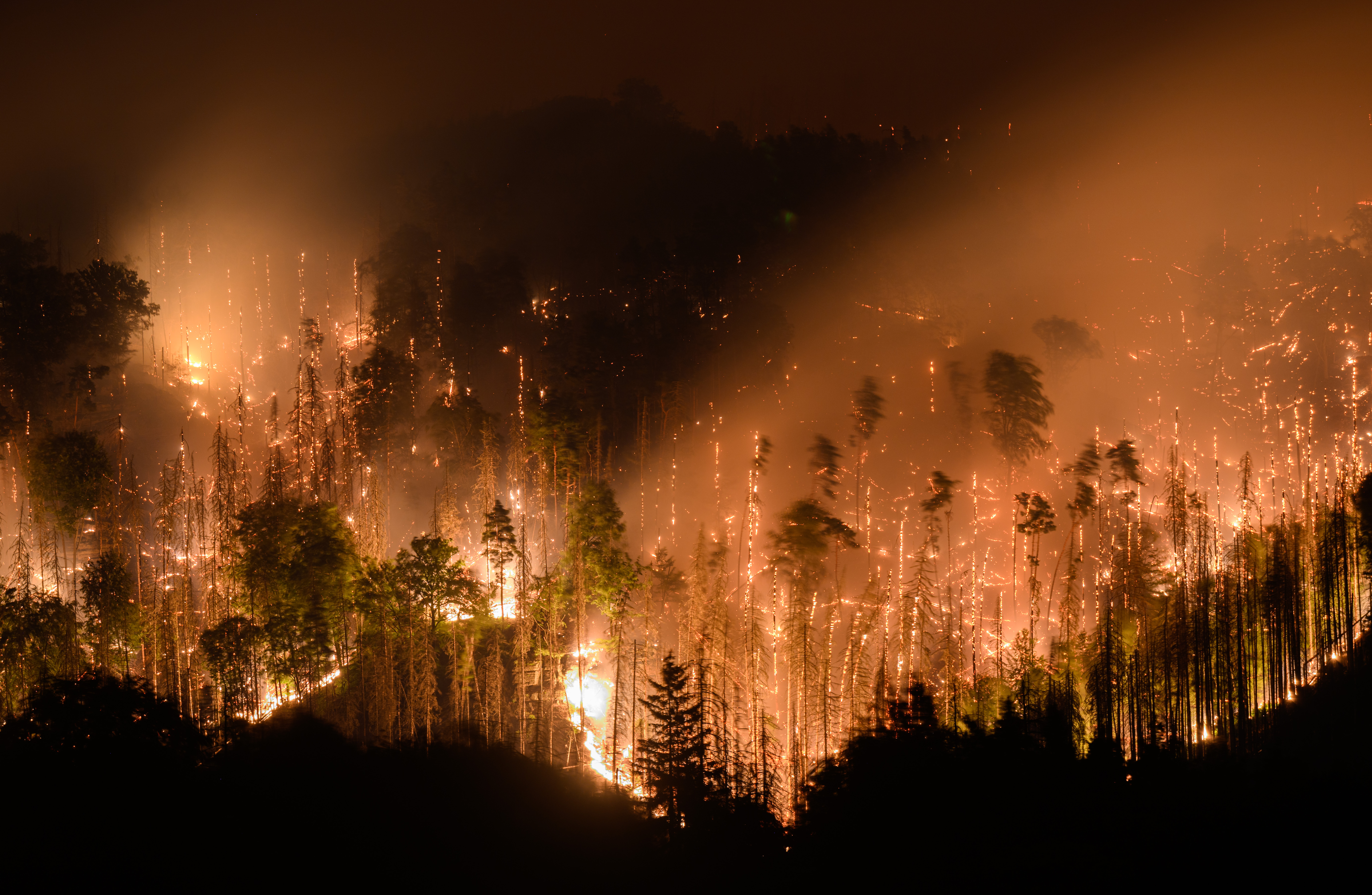 Böhmische Schweiz Brand