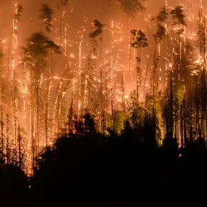 Böhmische Schweiz Brand