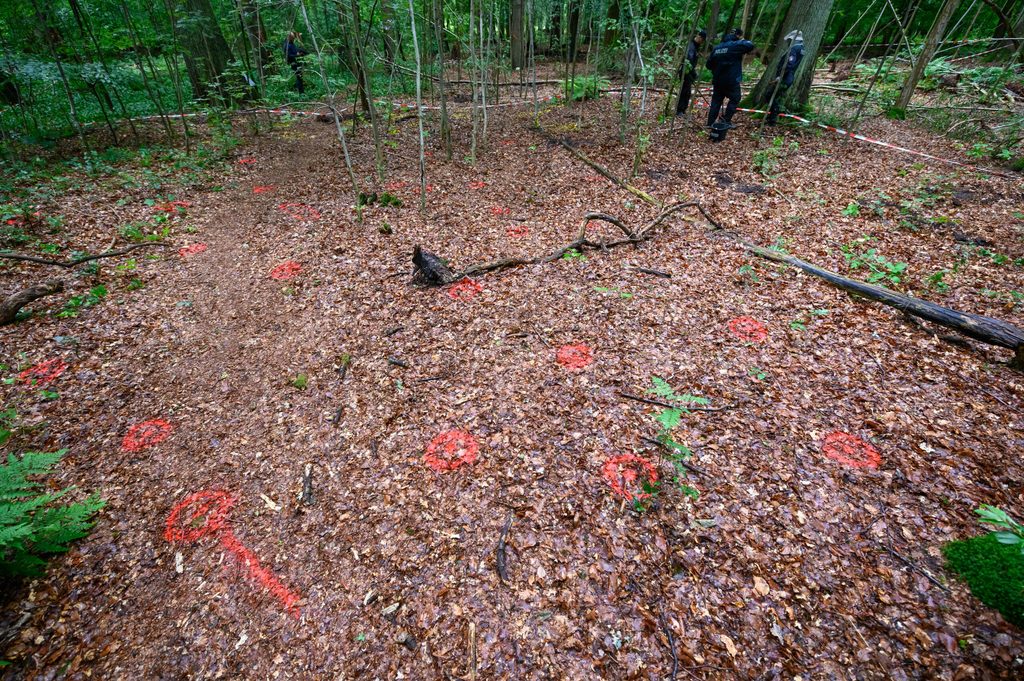Rote Markierungen zeigen mögliche Fundorte von Spuren auf dem Waldboden.