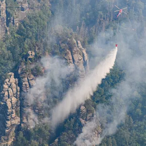 waldbrand sachsen