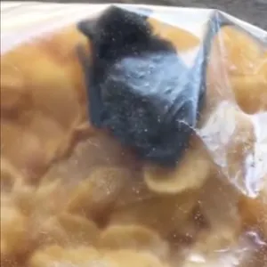 Eine schwarze Fledermaus ist in einer Plastiktüte mit Cornflakes zu sehen