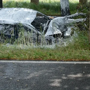 Bei Hamburg: Auto kracht gegen Baum und fängt Feuer – Fahrerin schwer verletzt