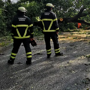 Am Donnerstagnachmittag krachte in Billwerder ein großer Baum auf die Straße.