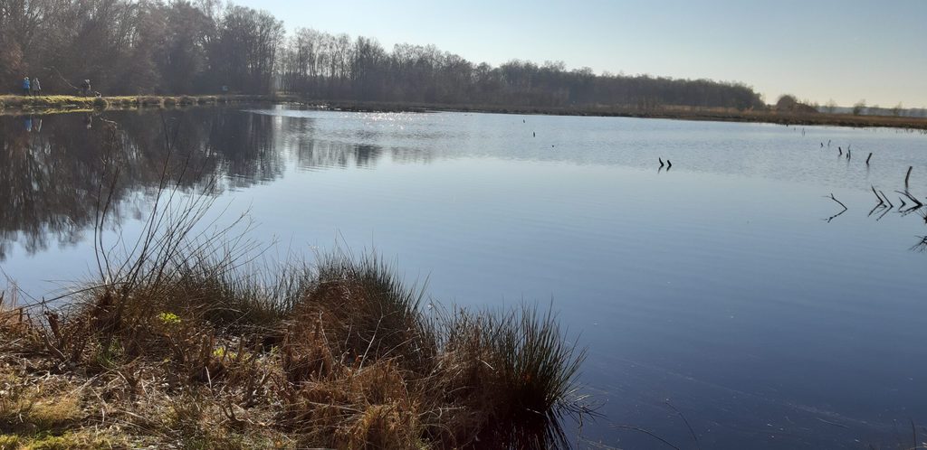 Das Himmelmoor in Quickborn: Herrliche Ruhe und Natur.