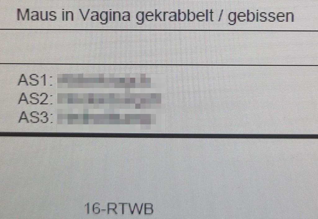 Unnötige Notrufe lähmen den Rettungsdienst in Hamburg