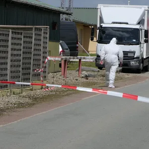 Zwei Höfe im Kreis Schleswig-Flensburg sind gesperrt. 18.000 infizierte Tiere müssen sterben.