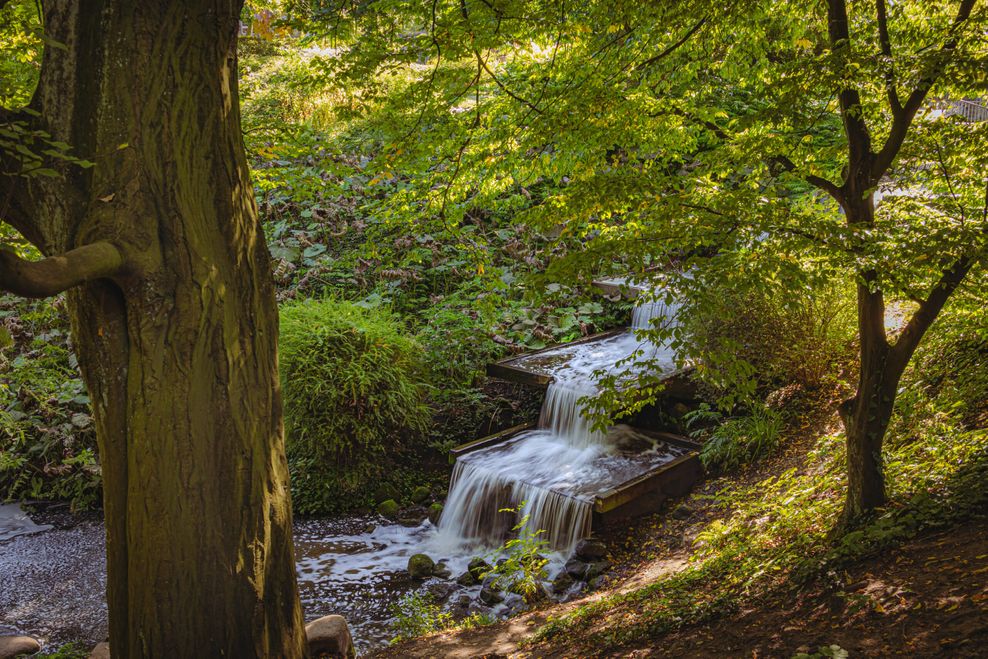 Wasserspiele sind eins der Highlights in Planten un Blomen.
