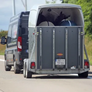 Ein Kleinbus mit Pferdeanhänger fährt auf der Autobahn. (Symbolbild)