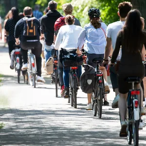 Die Straße An der Alster ist einer der beliebtesten Fahrrad-Hotspots in Hamburg.