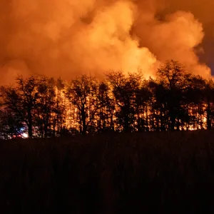 Brandenburg Feuer