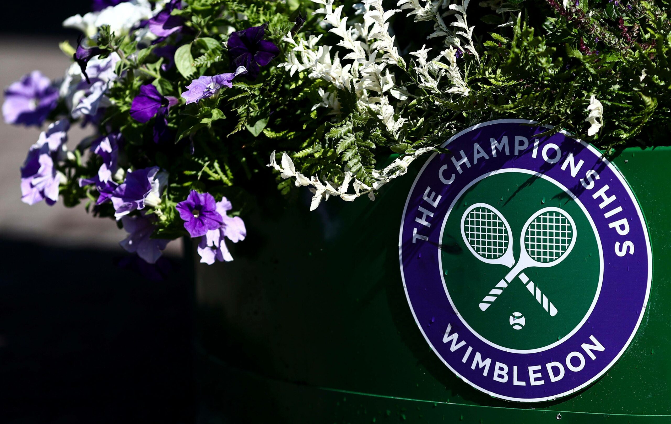 Die Wimbledon-Veranstalter gehen gegen eine Geldstrafe durch die Damen-Profiorganisation WTA