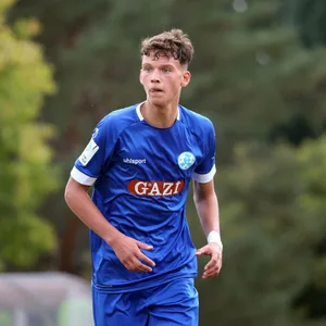 Karlo Kuranyi wechselt zum VfB Stuttgart
