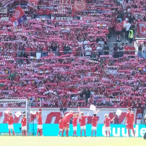 Die Fans von Mainz 05