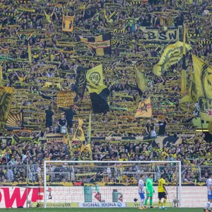 Stehplätze wie auf der Südtribüne in Dortmund sind im Europapokal a der kommenden Saison wieder erlaubt.