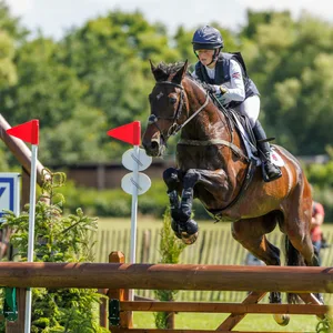 Im Rahmen des CHIO in Aachen kam das britische Vielseitigkeitspferd Allstar B ums Leben.