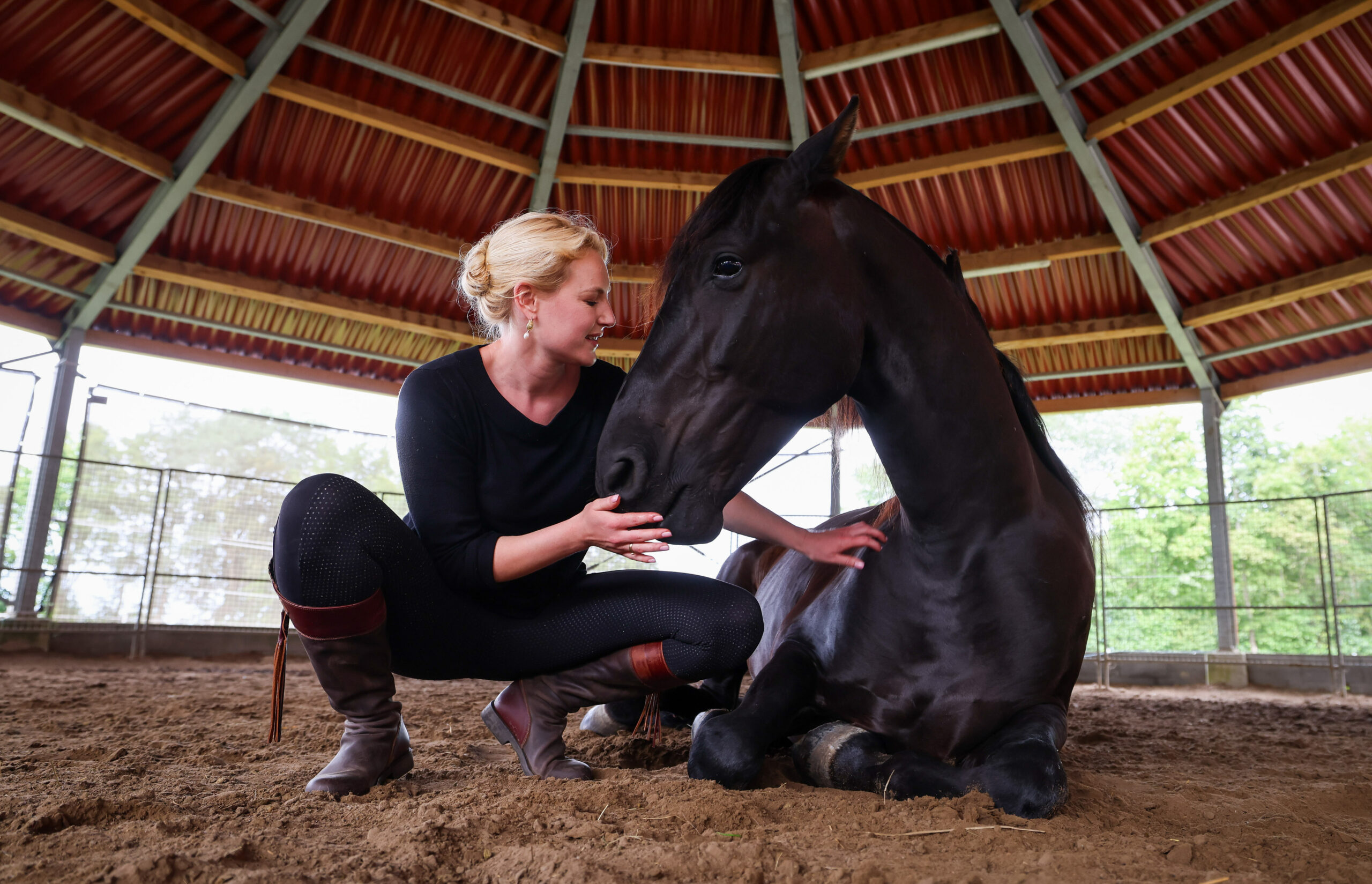 Trainerin Sophie Graf versucht den Tieren in ihrem Pferdezentrum in Dithmarschen mit der Methode der Gewaltfreiheit zu helfen.