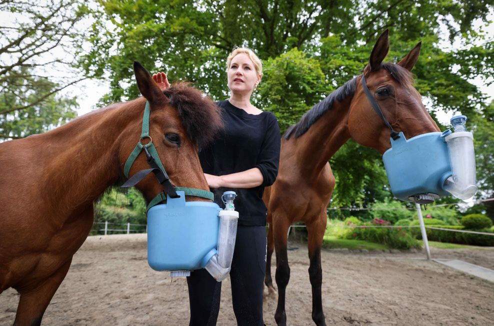 Inhalationsgeräte sollen der Hannoveraner-Stute „Sunshine“ (r.) und dem Island-Pony „Stella“ helfen.