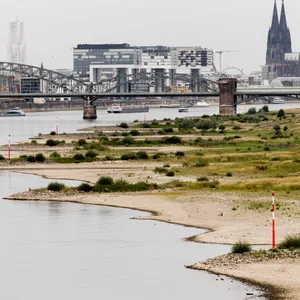 Niedriger Pegelstand des Rheins