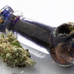 Cannabis
