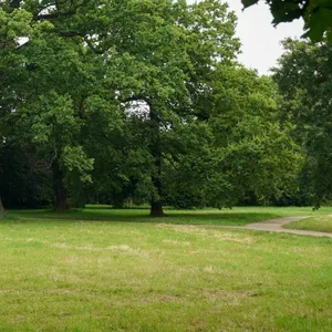 Die Polizei kontrolliert verstärkt im Rencks Park in Neumünster (Symbolfoto).