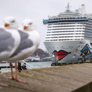 Das Kreuzfahrtschiff „Aidacosma“ liegt im Hafen. (Archivfoto)