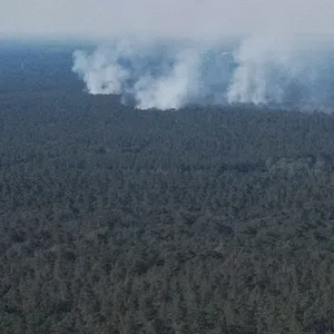 Grunewald Berlin Feuer Rauch