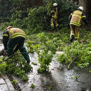 Feuerwehrleute räumen Teile eines bei einem Gewitter auf die Straße gefallenen Baumes beiseite.