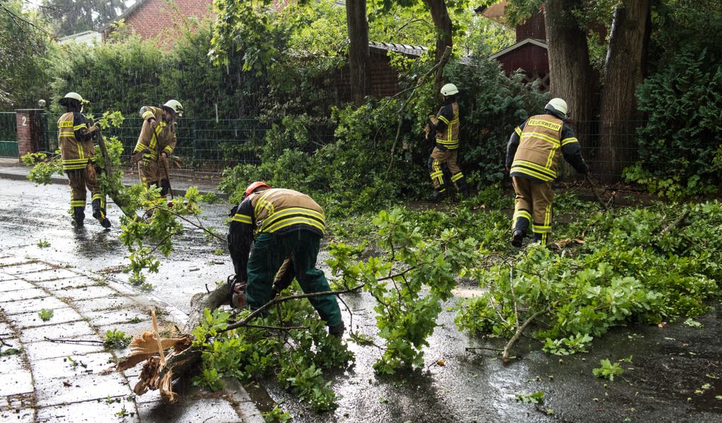 Feuerwehrleute räumen Teile eines bei einem Gewitter auf die Straße gefallenen Baumes beiseite.