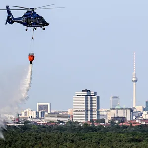 Anfang August war im Grunewald ein Feuer auf dem Sprengplatz der Berliner Polizei ausgebrochen.