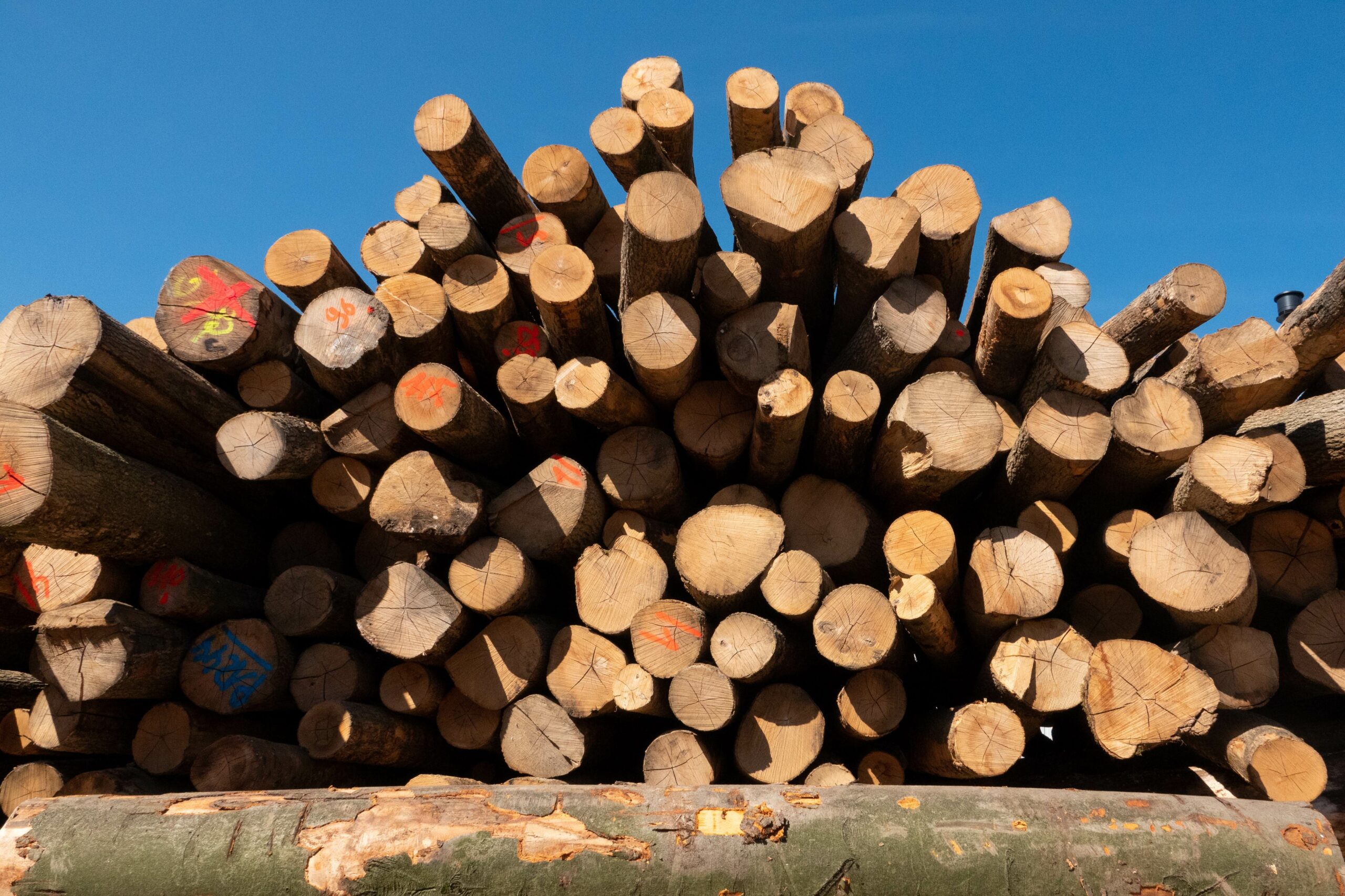 Holzstämme stapeln sich auf einem Hof. Durch den starken Anstieg der Energiepreise ist die Nachfrage nach Brennholz rasant angestiegen. Das nutzen Kriminelle aus. (Symbolbild)