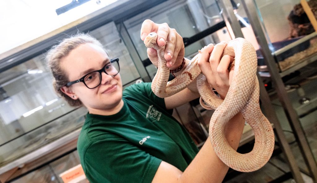 Tierpflegerin mit Schlange