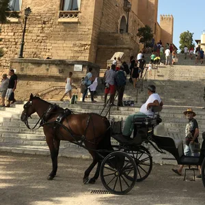 Pferdekutsche Palma de Mallorca