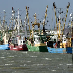 Schiffe im Hafen von Büsum