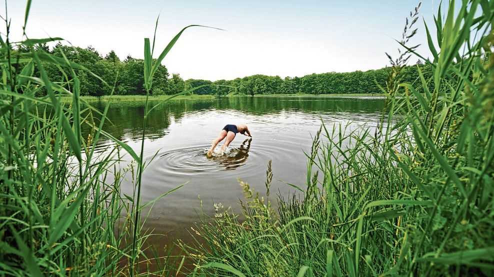 Bredenbeker Teich