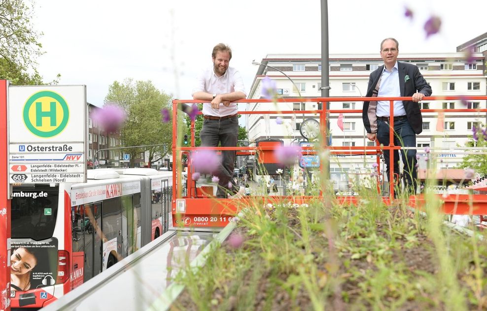 Verkehrssenator Anjes Tjarks (Grüne, l.) und Wall Geschäftsführer Patrick Möller bei der Vorstellung der grünen Haltestelle an der Osterstraße.