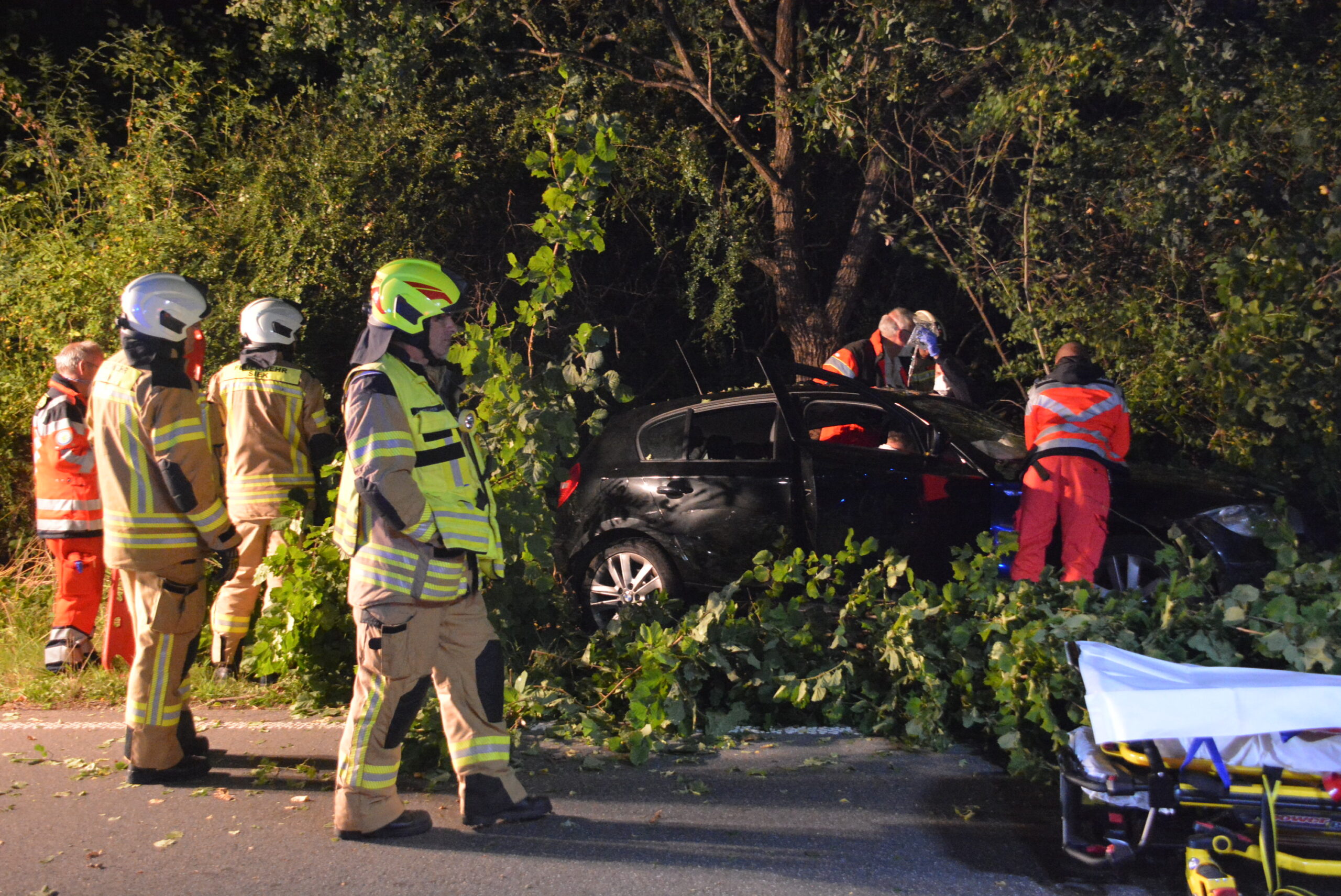 Beim Hamburg: BMW rast gegen Baum – Fahrerin schwer verletzt