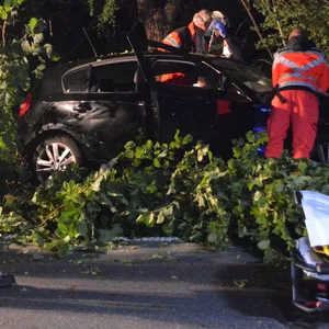 Beim Hamburg: BMW rast gegen Baum – Fahrerin schwer verletzt