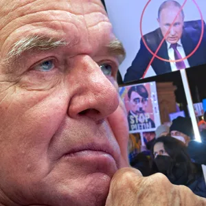 Schröder Putin