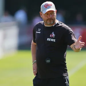 Steffen Baumgart sorgt bei einer Pressekonferenz des 1. FC Köln für Lacher in den sozialen Medien.