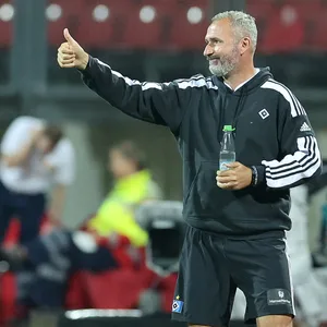 Trainer Tim Walter muss und will mit dem HSV in dieser Saison aufsteigen.