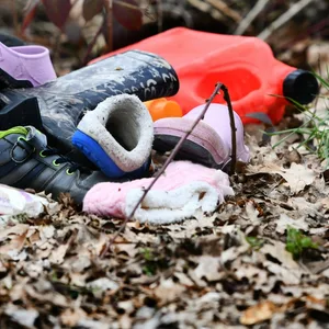 Illegal entsorgter Abfall im Wald.